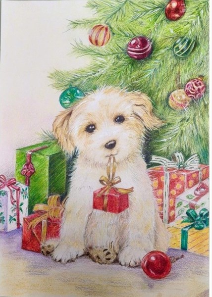 陳富滿-瑪爾濟斯