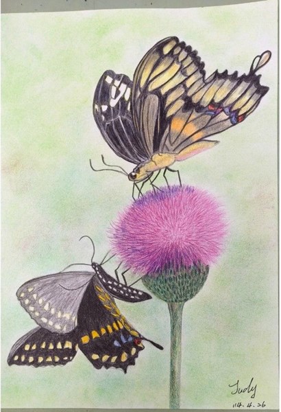 朱貴毓-蝶舞芳蹤